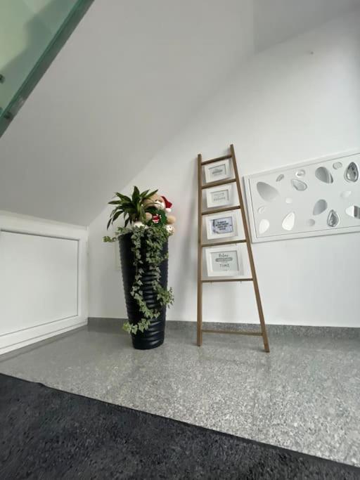 Apartament Timisoara 6 Dış mekan fotoğraf