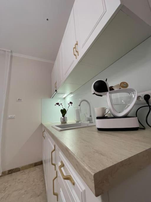 Apartament Timisoara 6 Dış mekan fotoğraf