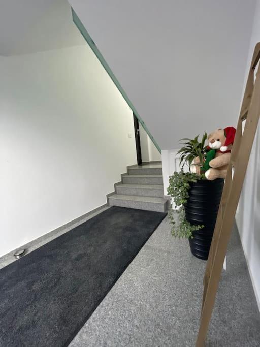 Apartament Timisoara 6 Dış mekan fotoğraf