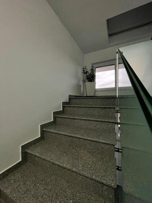 Apartament Timisoara 6 Dış mekan fotoğraf